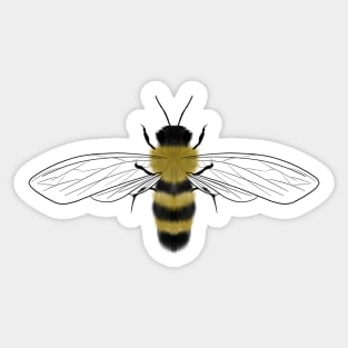 Honeybee Sticker